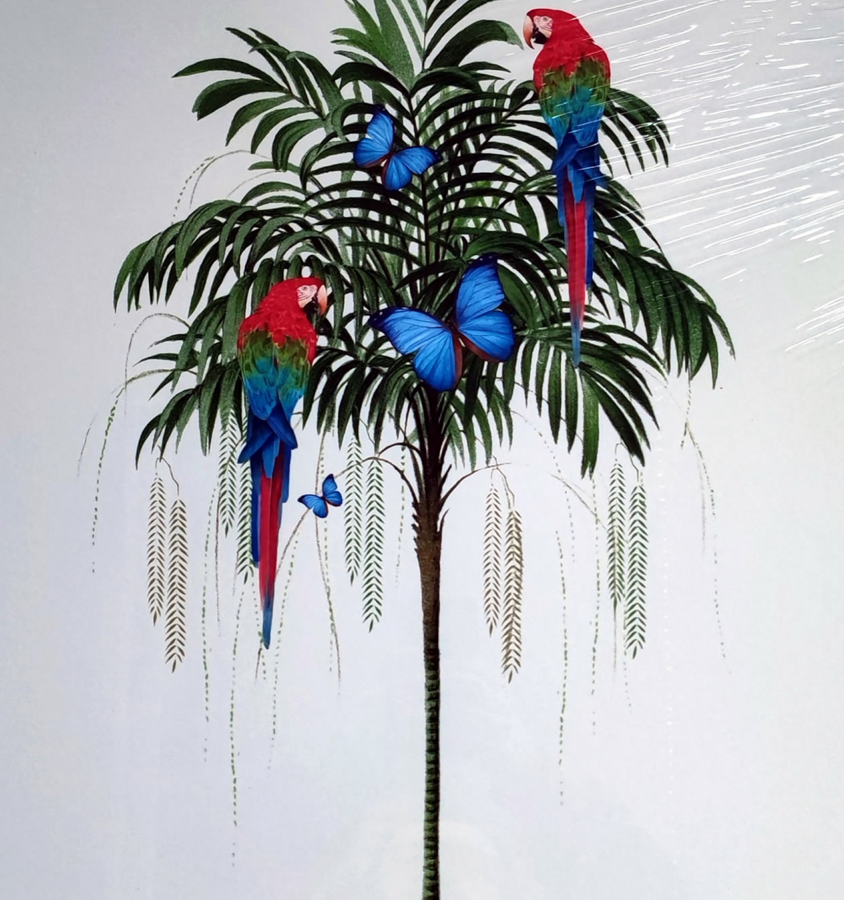 Parrot Palm