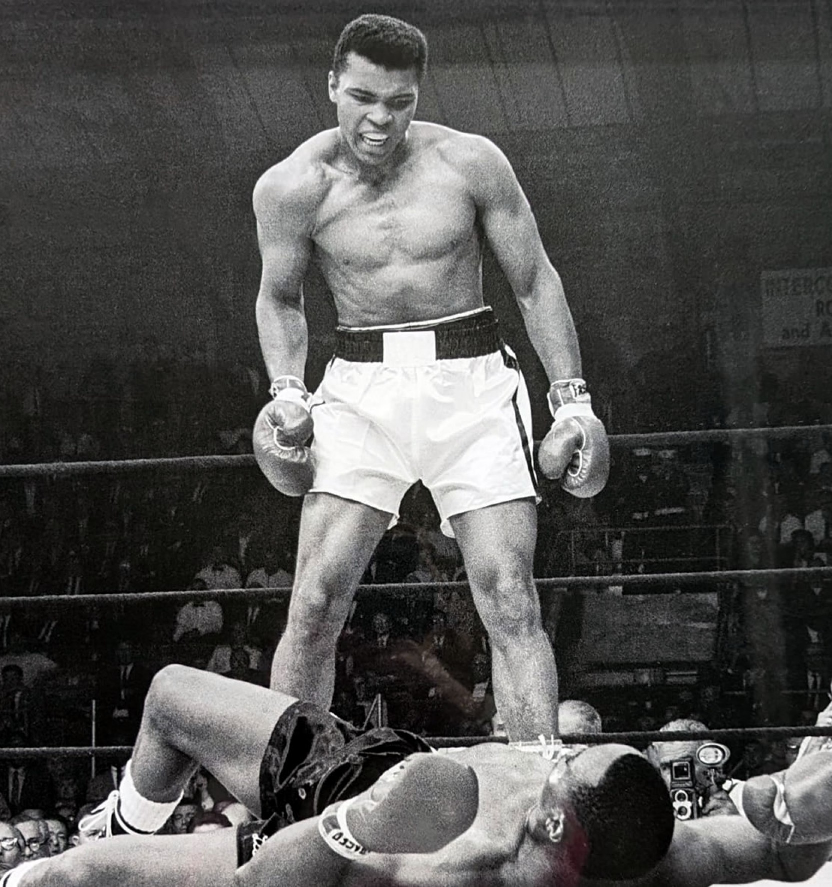 Muhammad Ali Fight